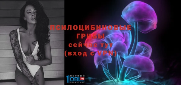 apvp Алексеевка
