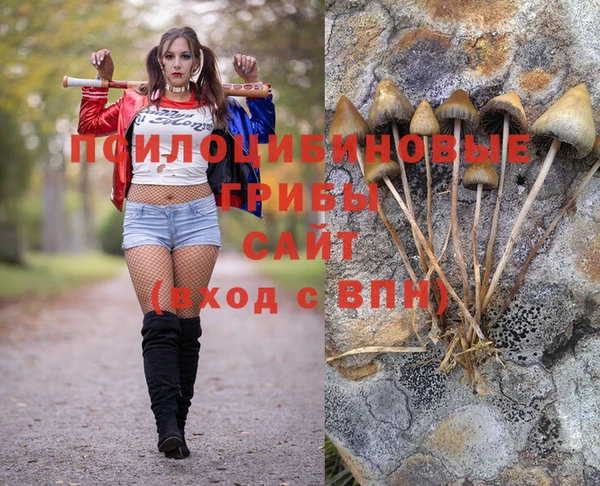 apvp Алексеевка