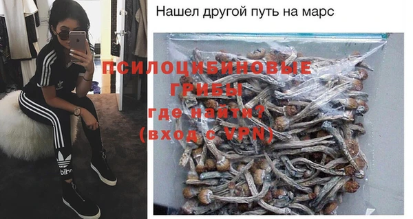метадон Алексин