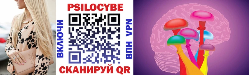 хочу наркоту  Северская  Псилоцибиновые грибы прущие грибы 